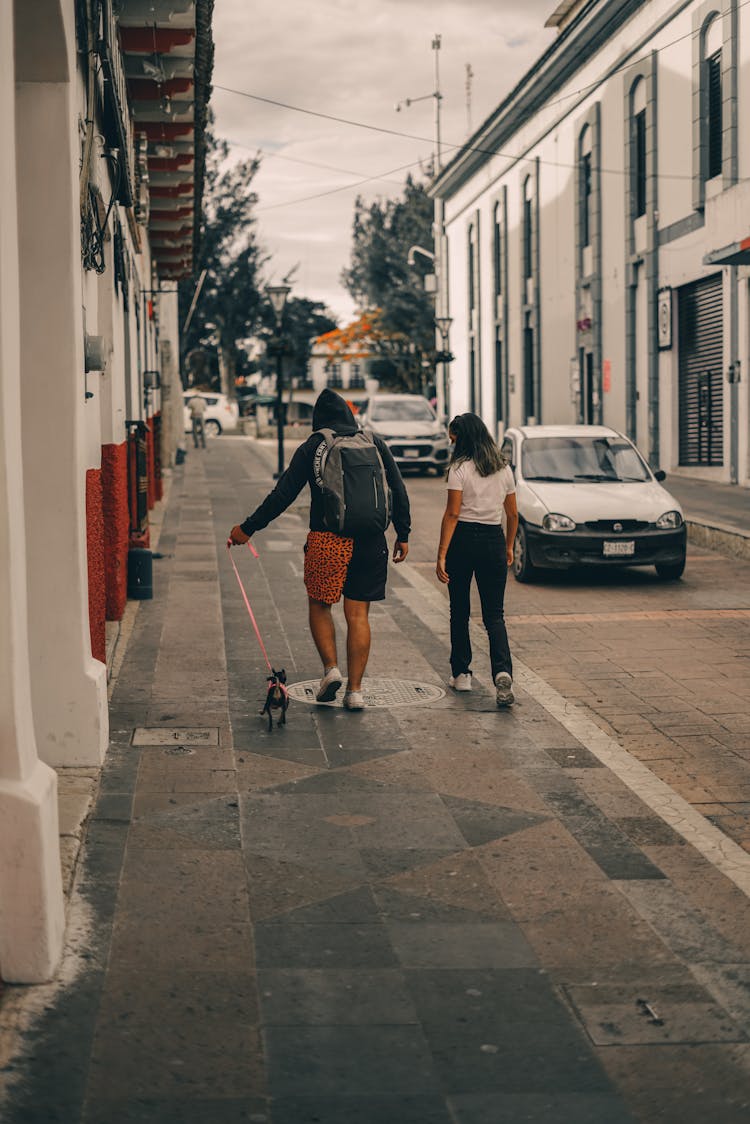 Backview Of Two People Walking With Their Pet Dog On Street Side 