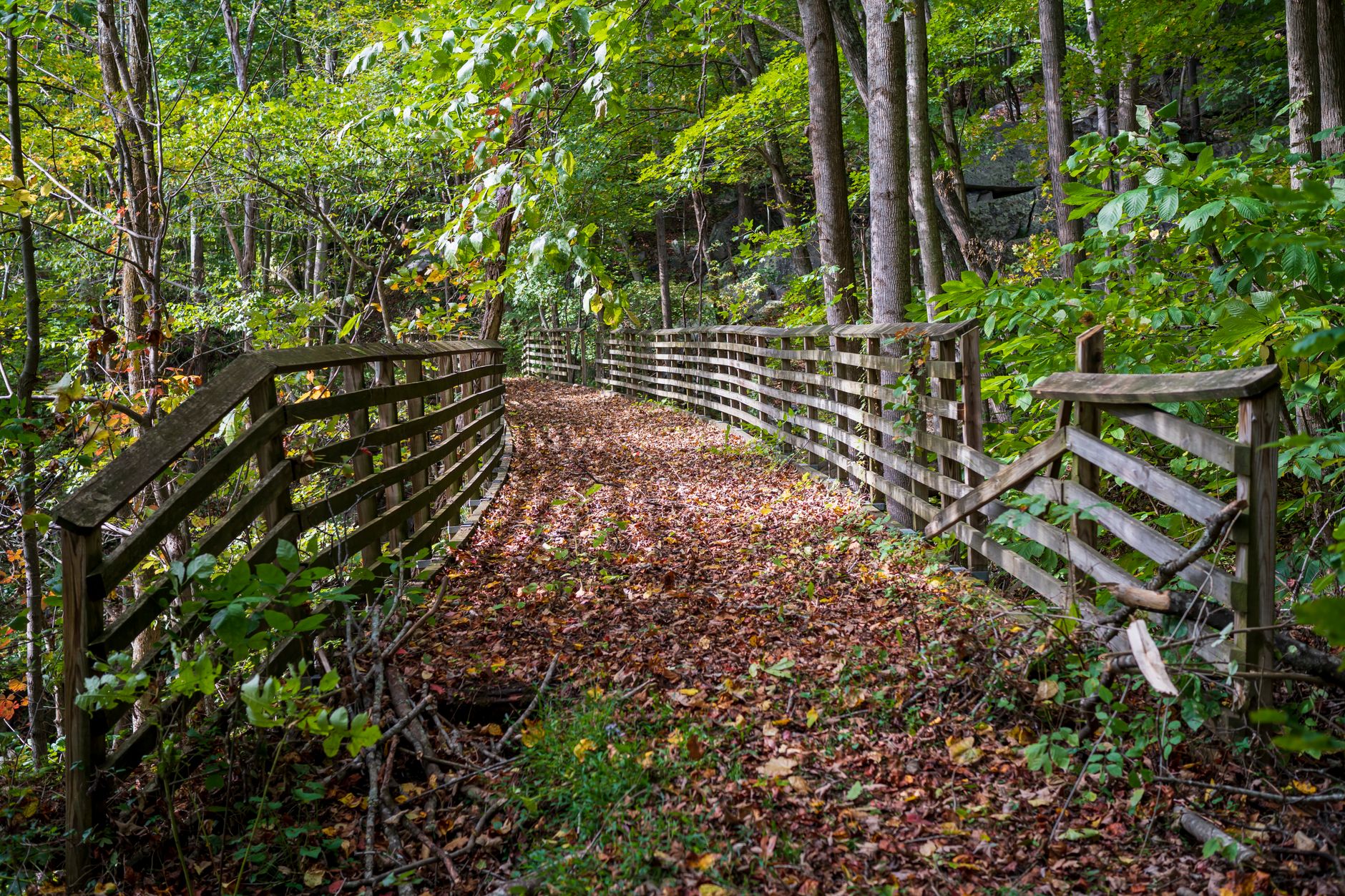 Peaceful forest path with wooden fence and fallen autumn leaves in West Virginia.