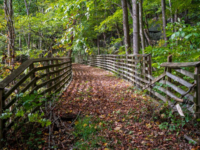 Historic grist mill and creek in a wooded state park