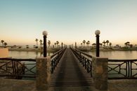 Explore a serene wooden bridge by the sea with palm trees at sunset, offering a peaceful escape.