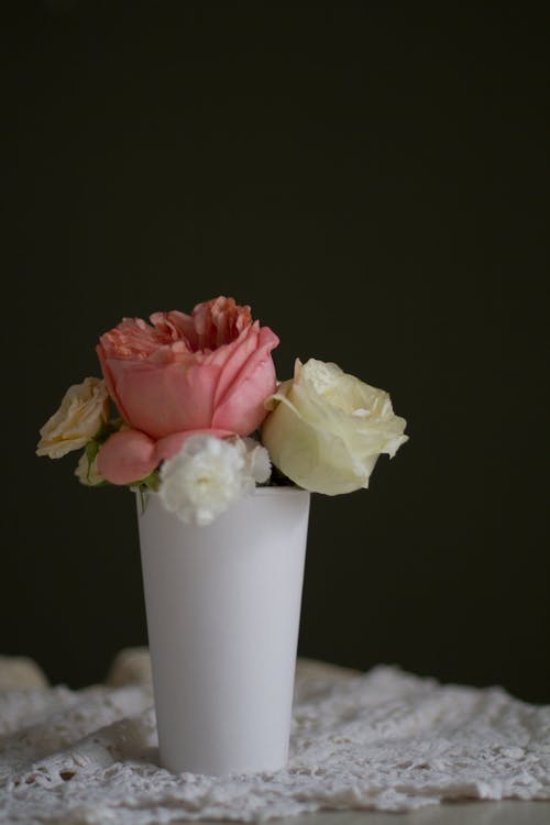 Roses in White Plastic Cup