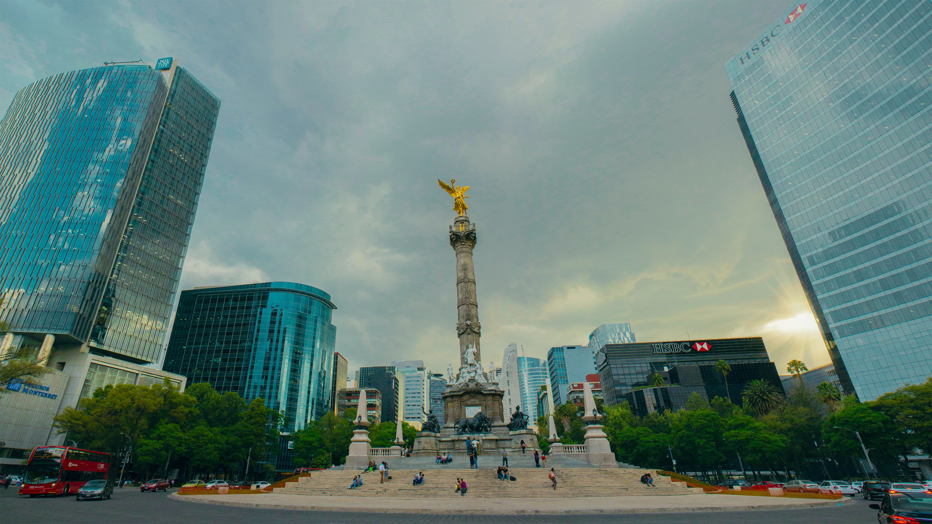 Free stock photo of green, monterrey, natural