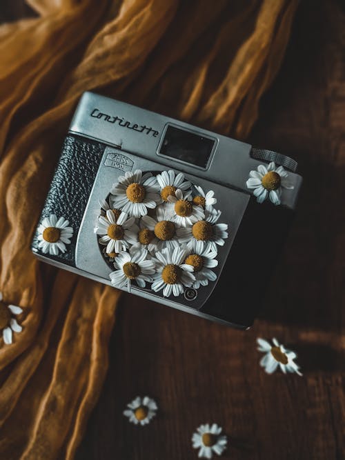 analog kamera, bağbozumu, Çiçekler içeren Ücretsiz stok fotoğraf