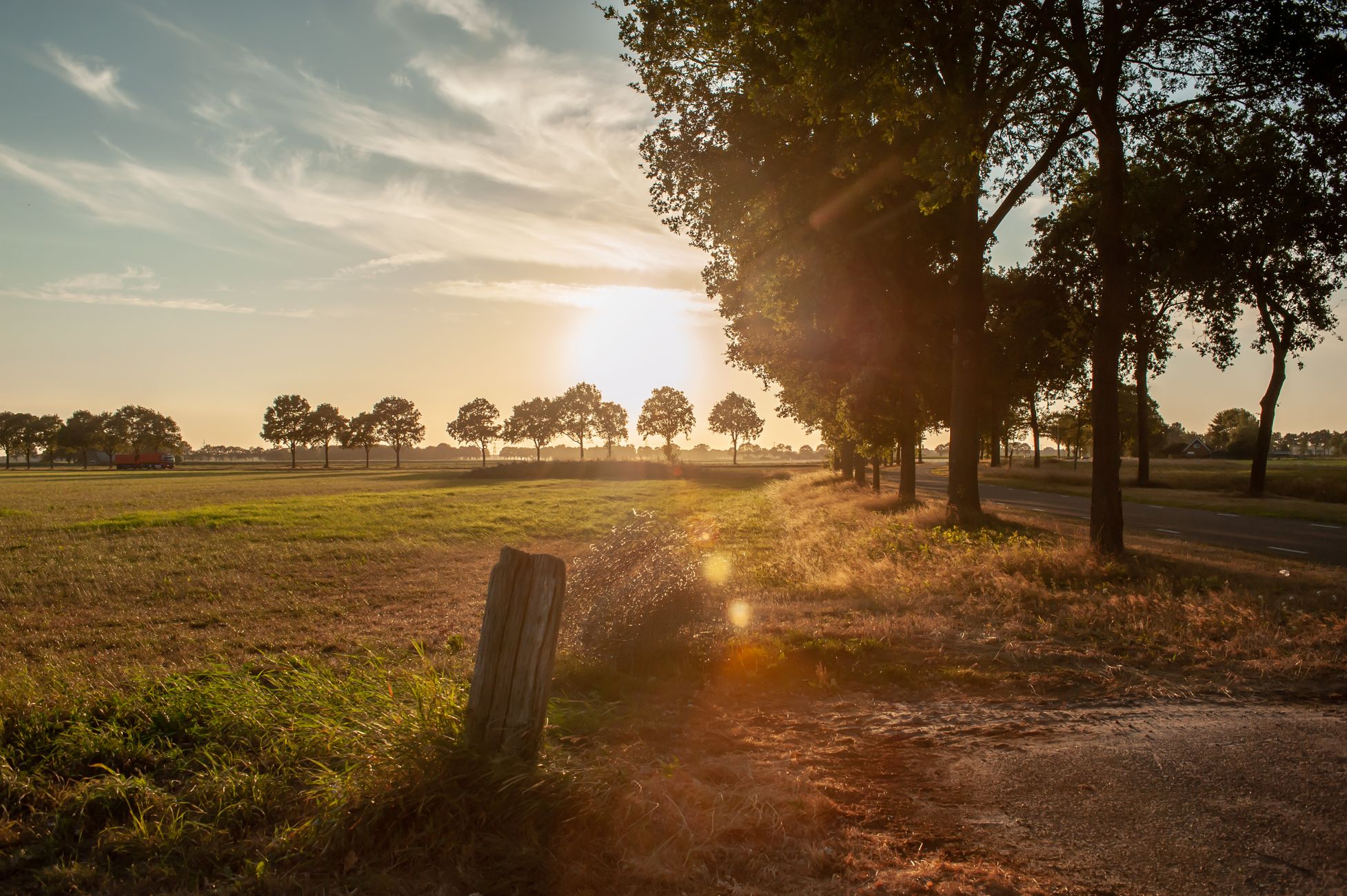 ED Zomerfotowedstrijd: Doe mee en maak de mooiste foto