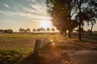 荷兰达尔乡村，绿树成荫，田野开阔，日落景色格外美丽