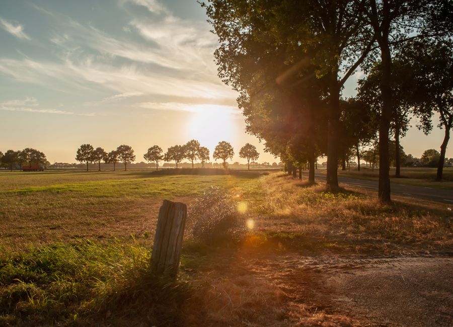 Beautiful sunset over a rural landscape in Daarle, Netherlands with trees and open fields.