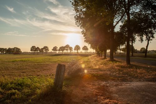 Free Beautiful sunset over a rural landscape in Daarle, Netherlands with trees and open fields. Stock Photo