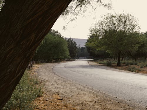 Empty Road in Countryside