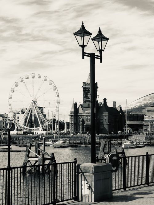 Free Monochrome waterfront scene featuring a ferris wheel and historic architecture. Stock Photo