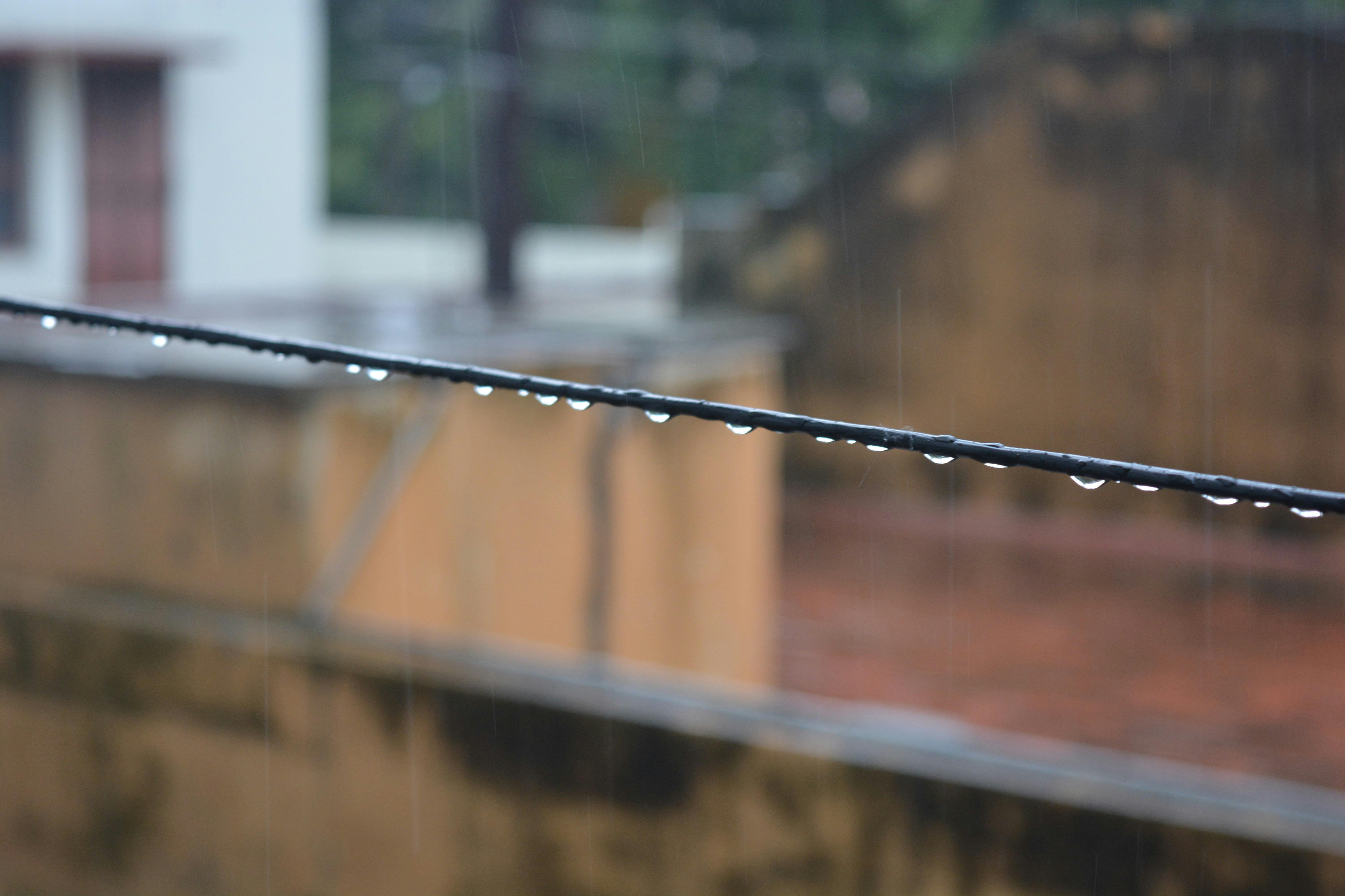 Free stock photo of after the rain