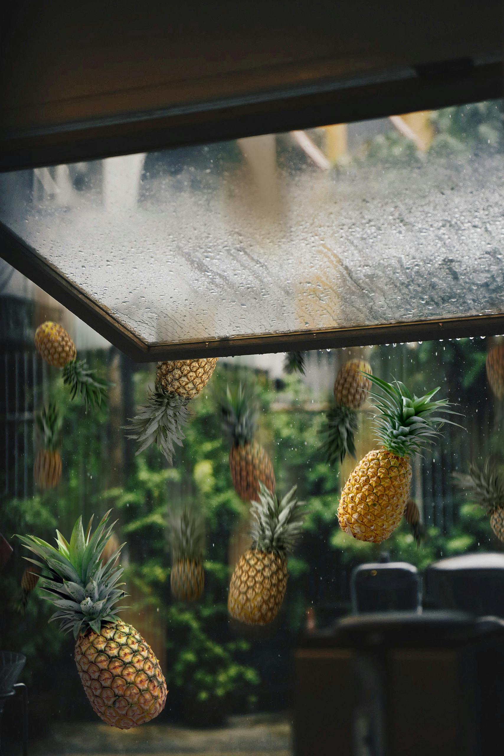 Raining Pineapples · Free Stock Photo