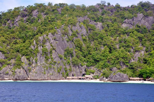 Free Green Trees on Rocky River Stock Photo