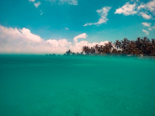 Free Бесплатное стоковое фото с голубое небо, кокосовые пальмы, море Stock Photo