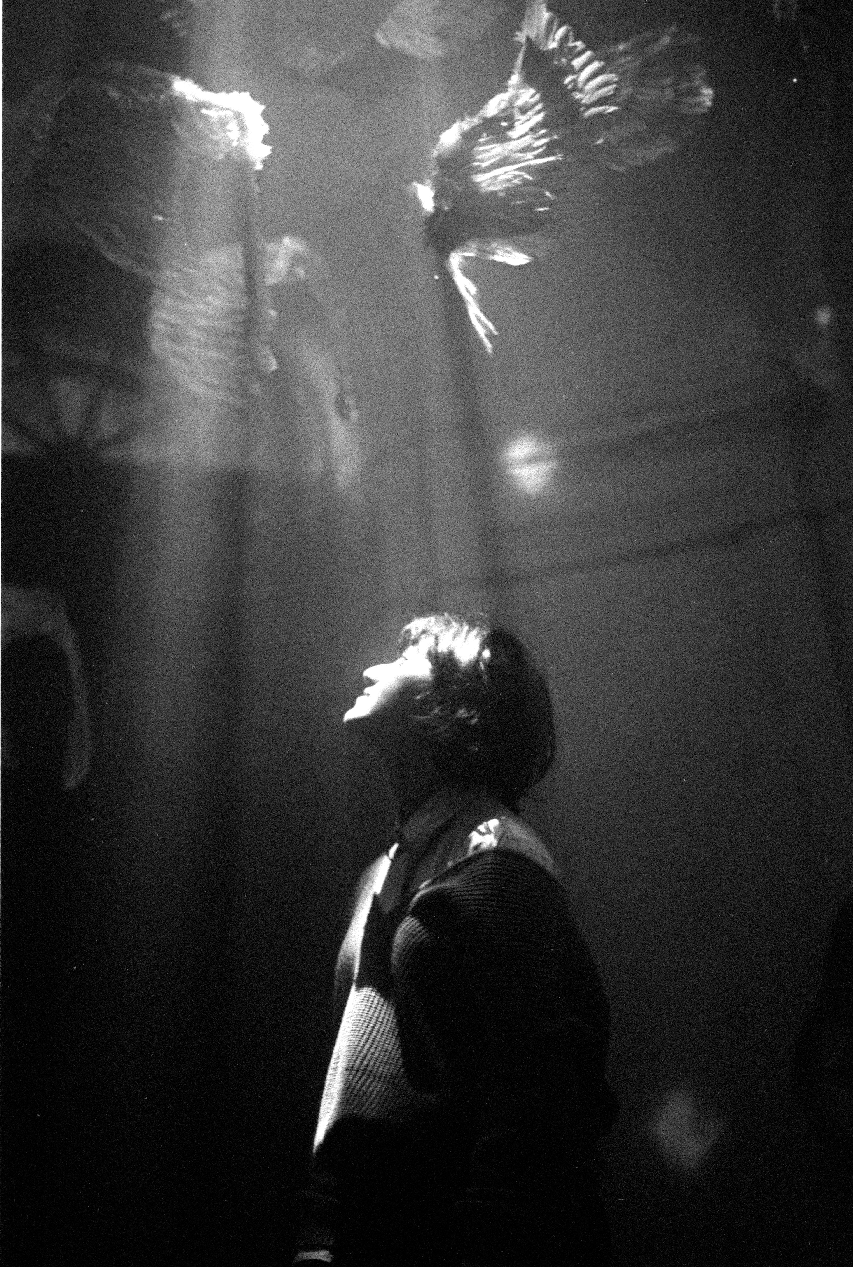A person gazes upward at birds illuminated by sunbeams in a dramatic setting.