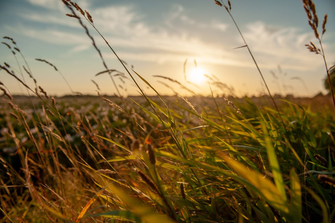 Základová fotografie zdarma na téma modrá obloha, mraky, obloha