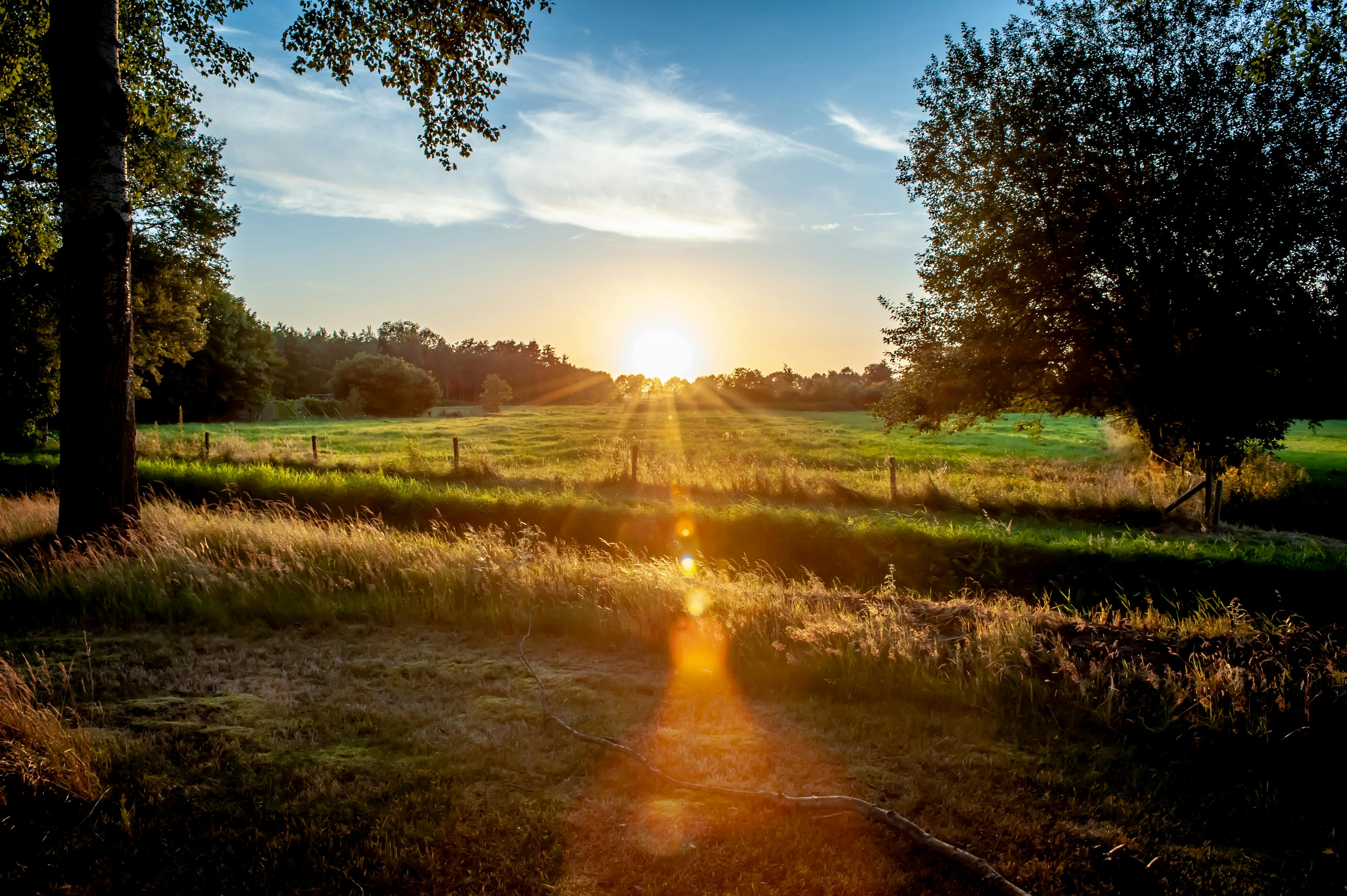 sun rays