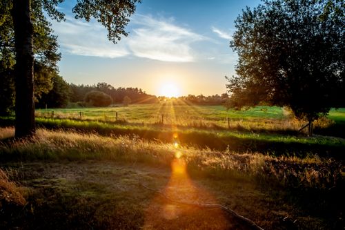 Free Serene sunset over a picturesque meadow in Daarle, Overste, Netherlands. Stock Photo