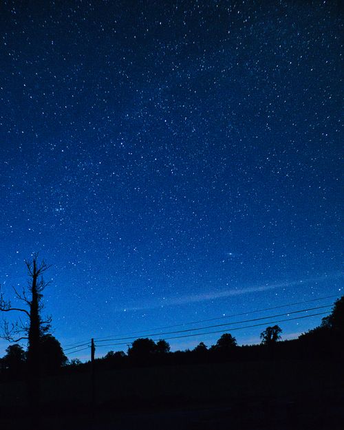 Free A serene starry night captures Ireland's countryside, with trees silhouetted against the starry sky. Stock Photo