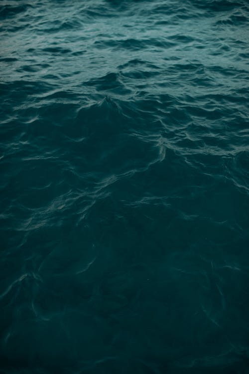 Free Foto profissional grátis de água, elevado, mar Stock Photo
