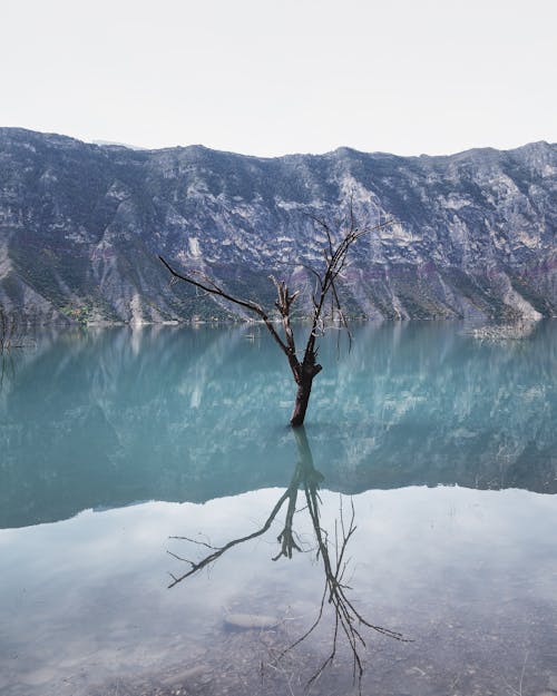 垂直ショット, 山岳, 水の反射の無料の写真素材