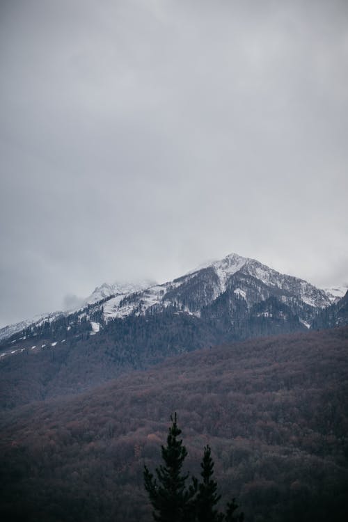 Free Snowy Mountains and a Forest Under a Cloudy Sky Stock Photo