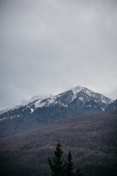 Dramatic snow-capped mountain peak with forested slopes under a cloudy sky.