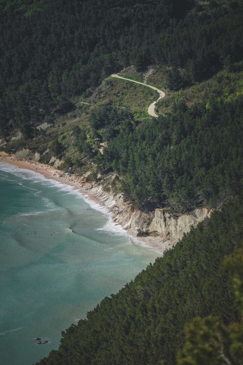 Free A breathtaking birds-eye view of a coastal forest and secluded beach with turquoise sea. Stock Photo