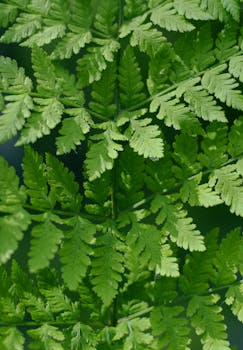 Image by Tamara Elnova