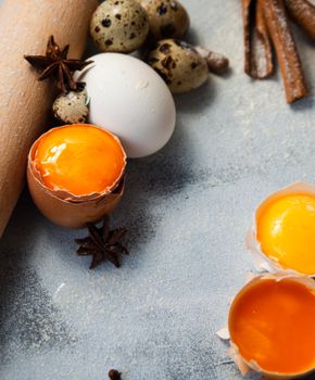 egg yolk