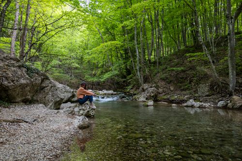 Free A serene forest setting with a woman sitting by a clear river surrounded by lush greenery. Stock Photo