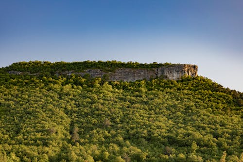 Scenic View of a Rocky Mountain near the Trees