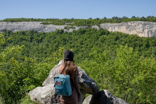 A Person Looking at a Scenic Forest Canopy