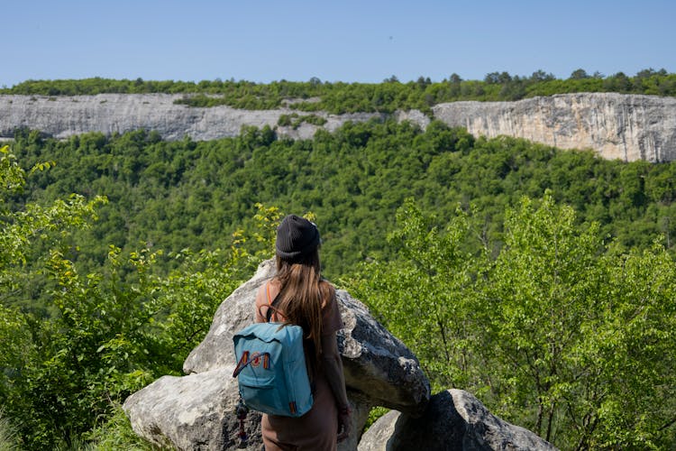 A Person Looking At A Scenic Forest Canopy