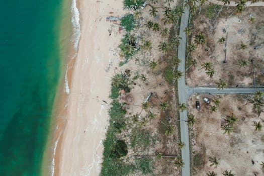 A breathtaking drone shot capturing a tropical beach, lush palms, and a winding road.