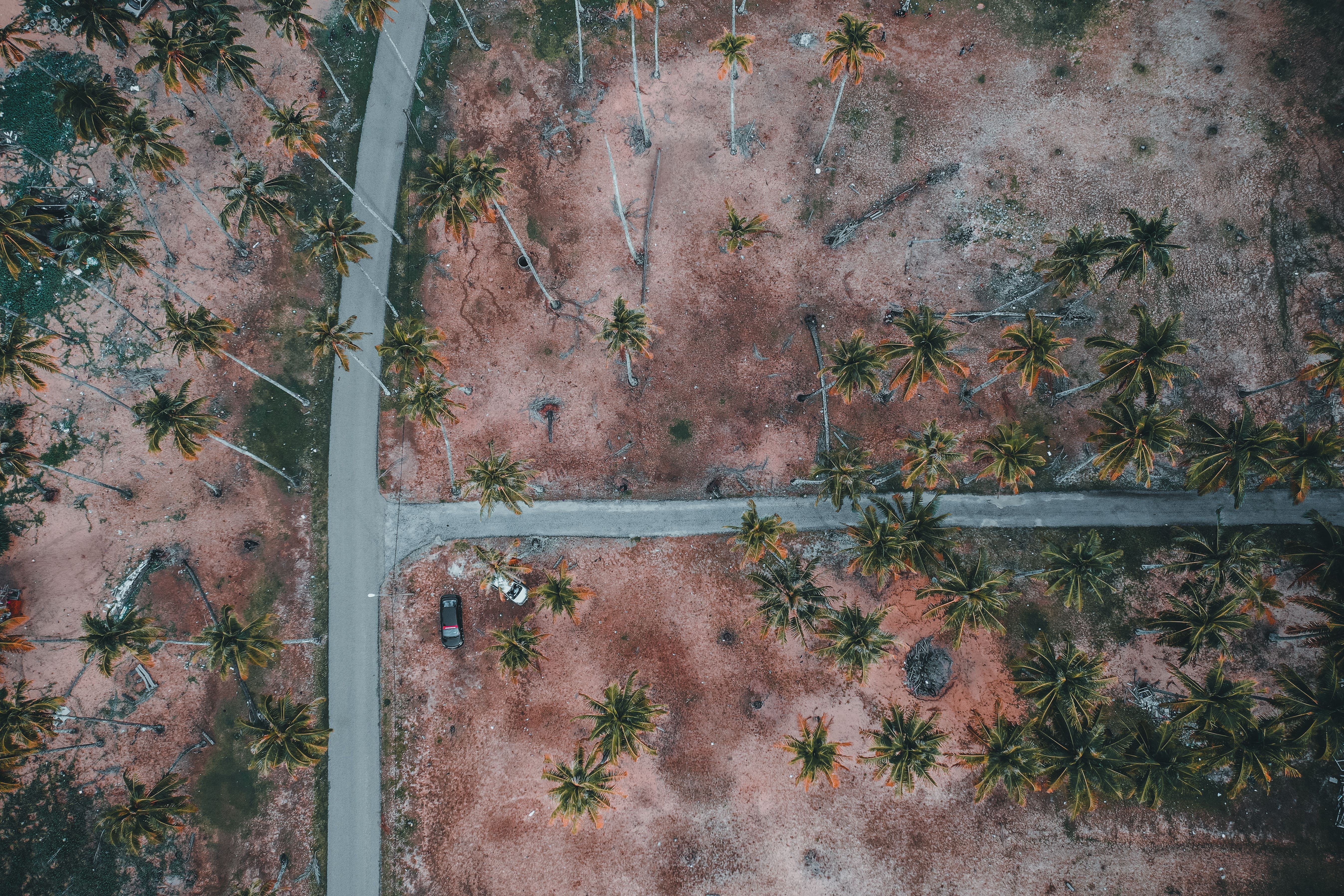 Comparing Your Insurance Options