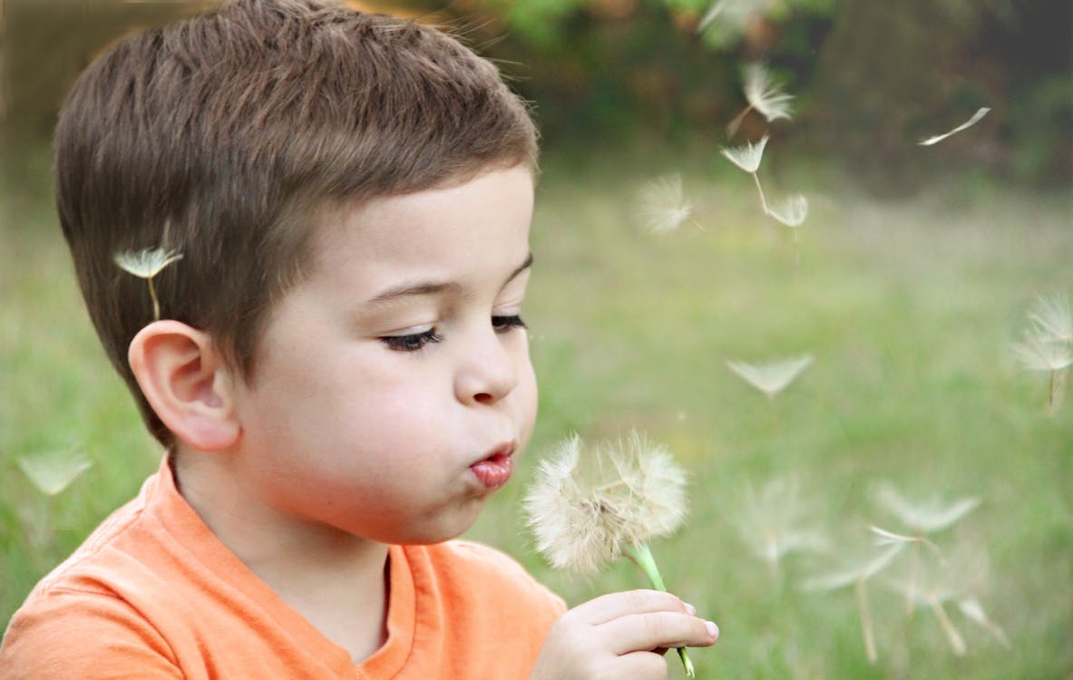 Free Boy Wearing Orange Shirt Blowing on Dandelion Stock Photo