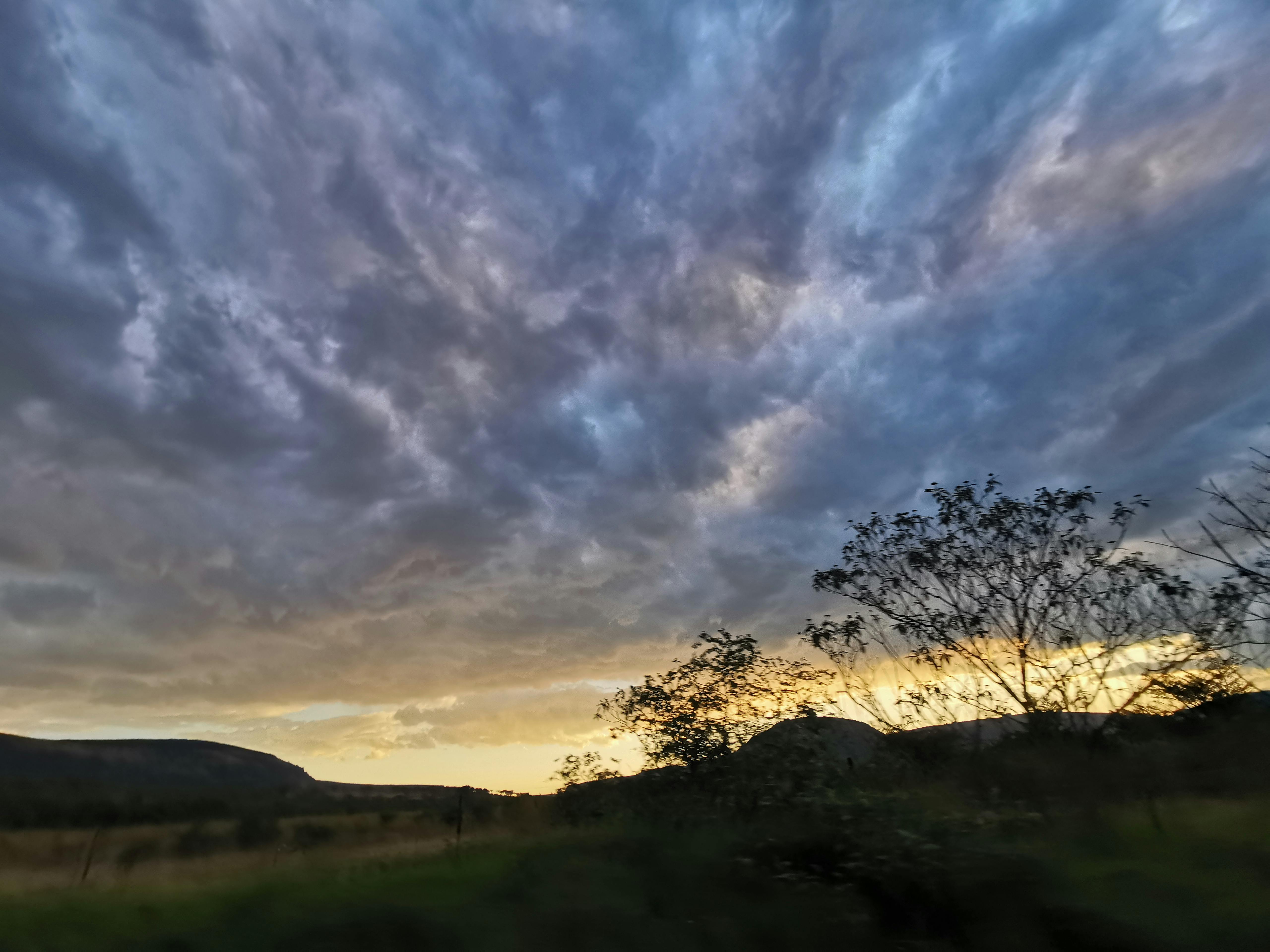 Tabela de crescimento do abacaxi