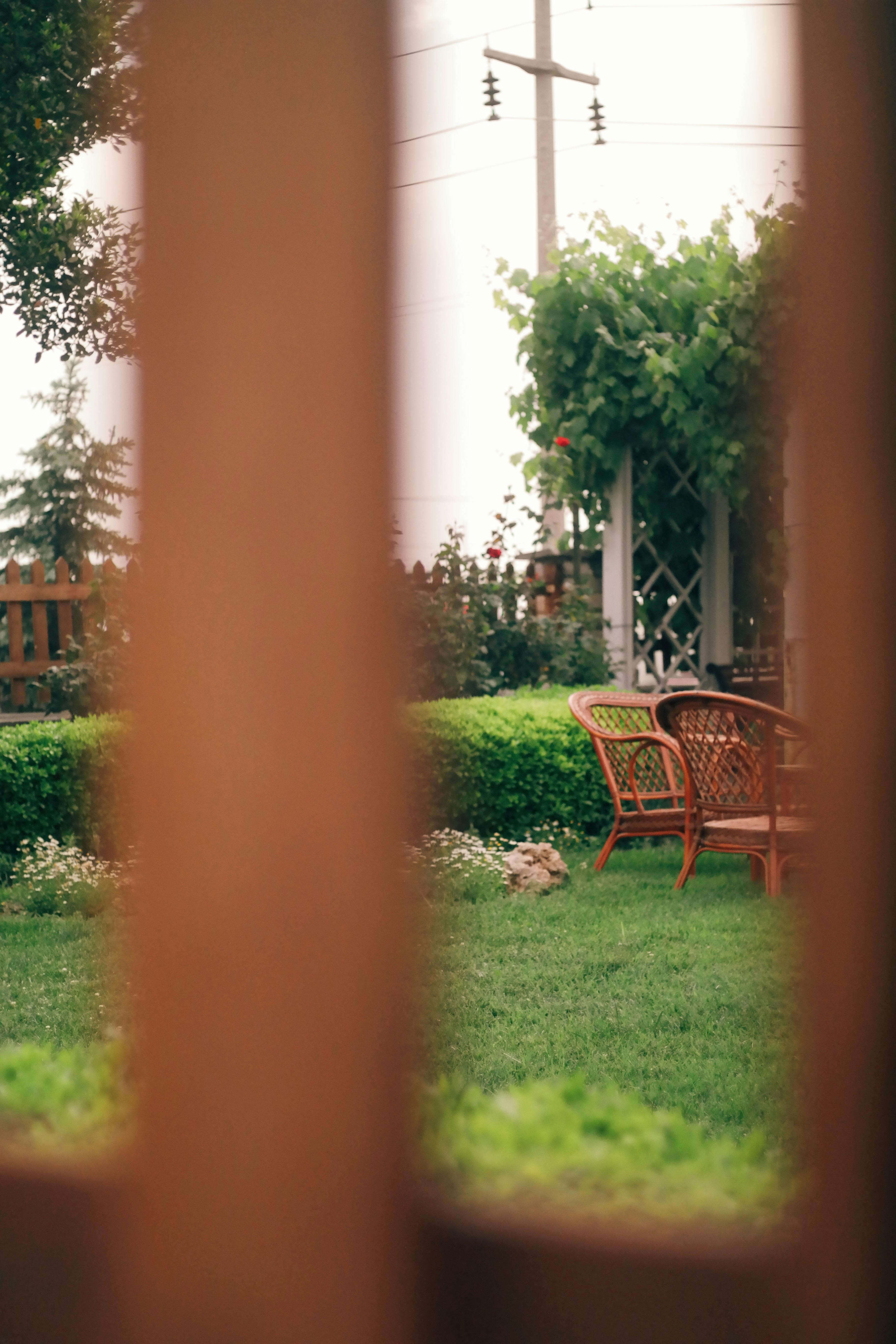 Serene garden with wicker chairs, green grass, and lush foliage viewed through a fence.