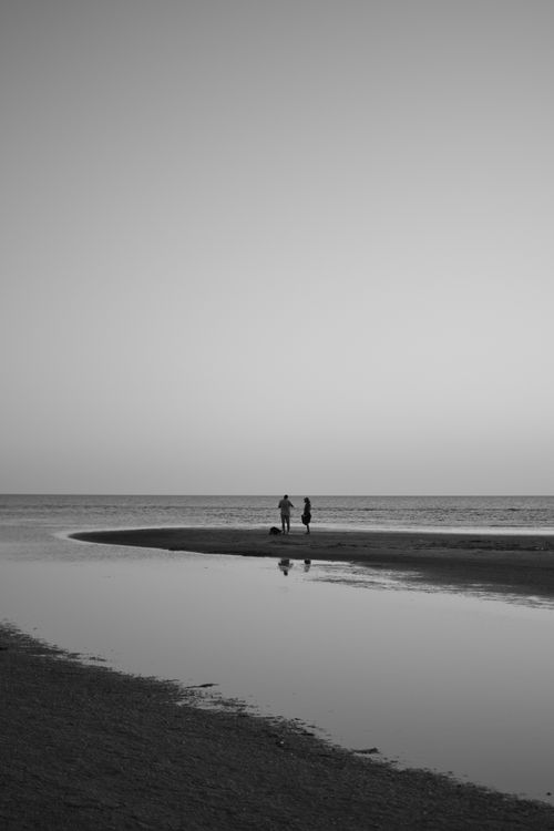Free Two people and a dog walk along a serene beach, captured in black-and-white. Stock Photo