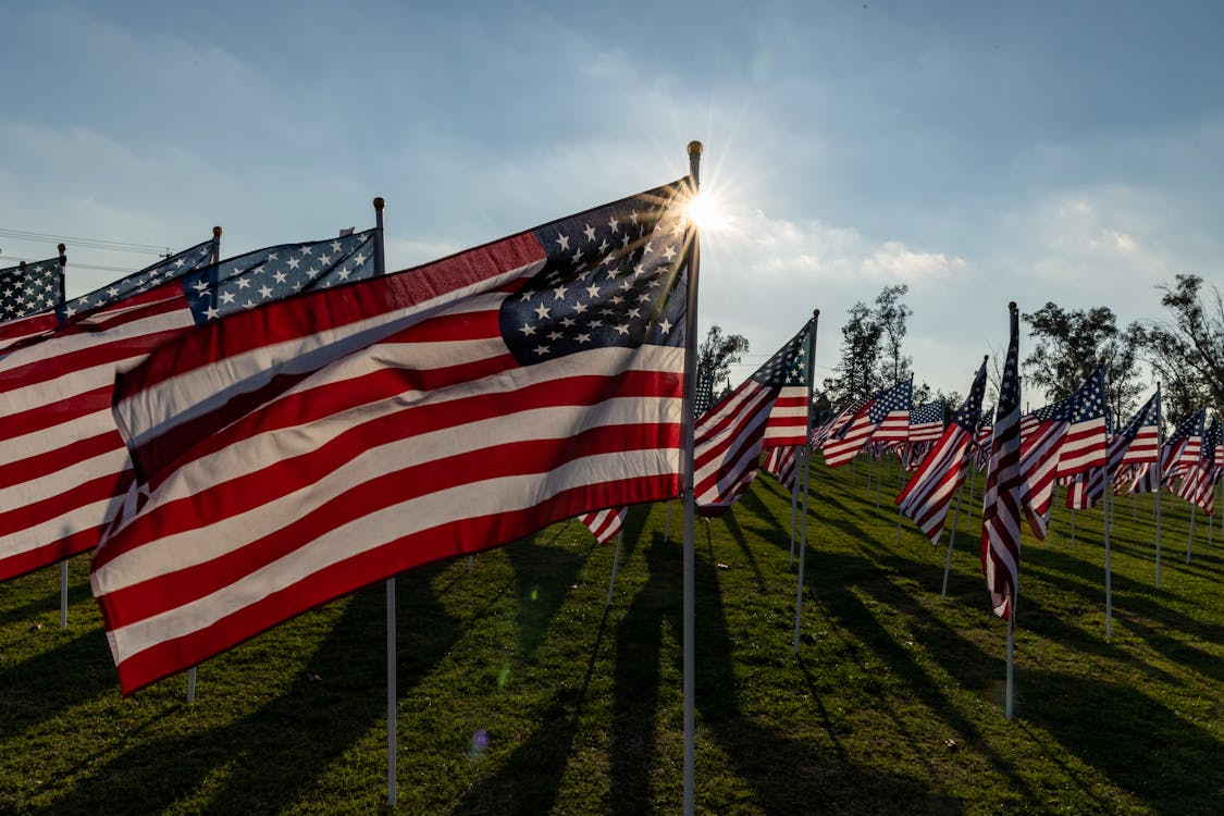 Gratis arkivbilde med 4. juli, åker, Amerikanske flagg
