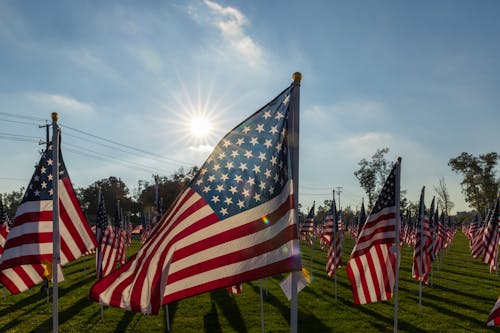 Photos gratuites de clairière, Drapeaux américains, herbe