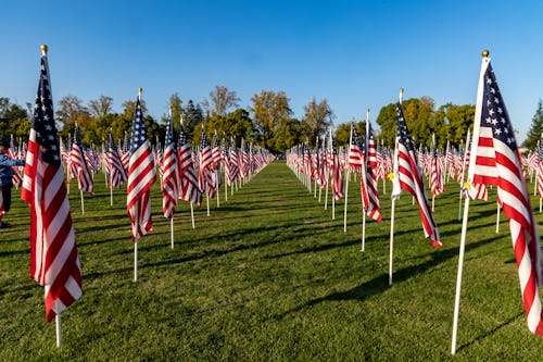 Základová fotografie zdarma na téma americké vlajky, den obětí války, hřiště
