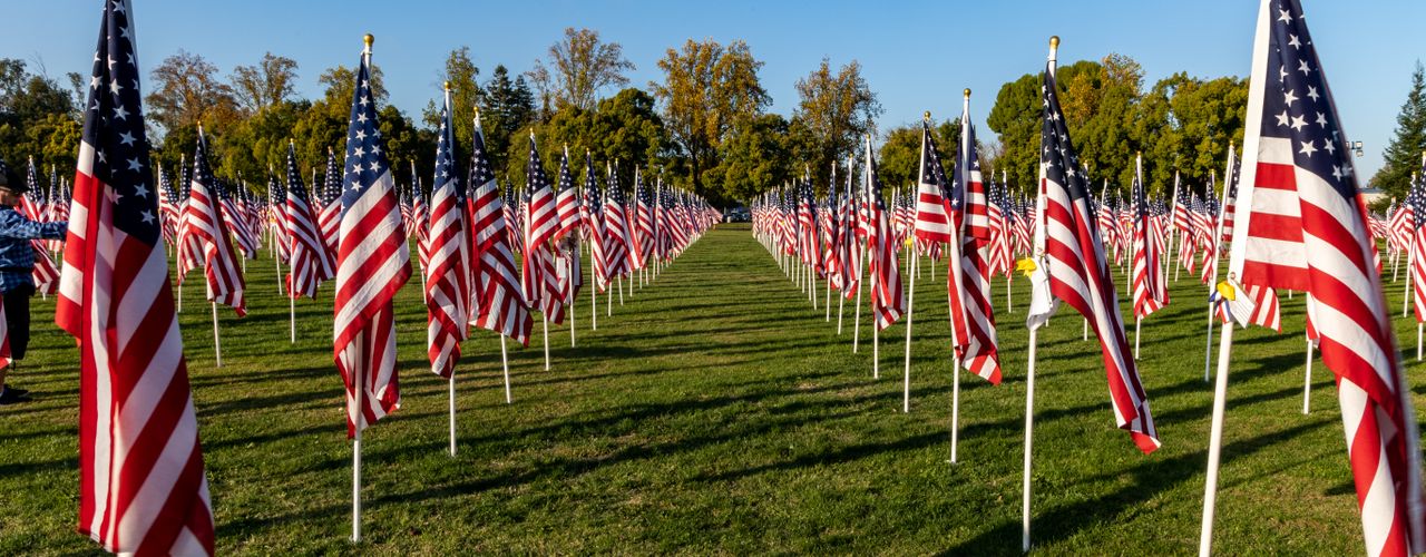Rows of American flags on a memorial field honoring veterans