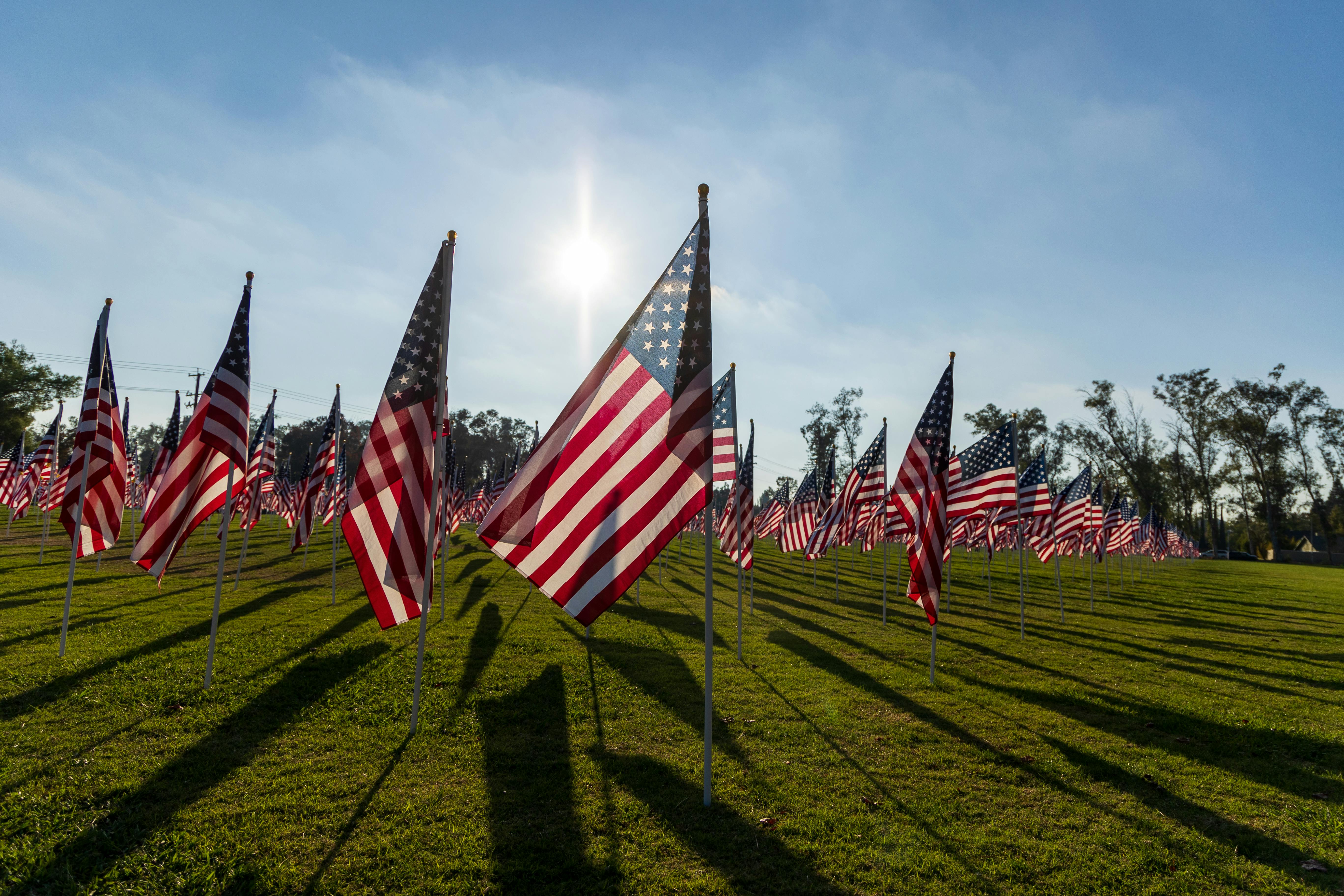 Honoring mentorship, innovation and civic engagement at UNC Charlotte — Photo by Siva Seshappan on Pexels