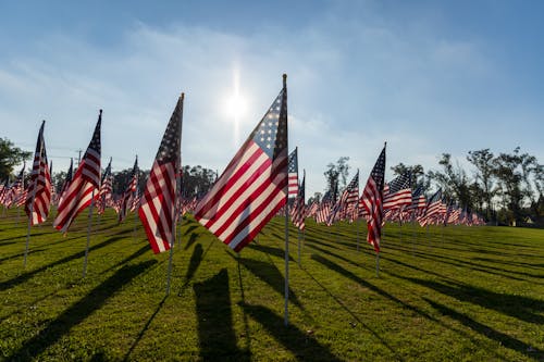 Základová fotografie zdarma na téma americká vlajka, den obětí války, hřiště