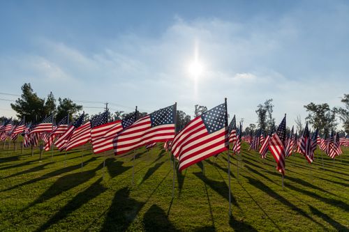Free Field of American flags casting long shadows under the bright sun, symbolizing patriotism. Stock Photo