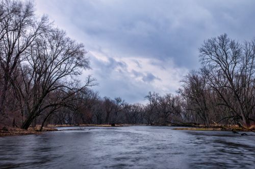 Free A tranquil winter scene featuring bare trees lining a calm river under a cloudy sky. Stock Photo
