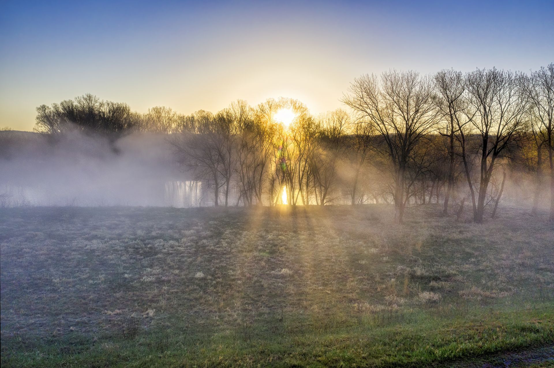 A serene sunrise casts light through misty leafless trees, creating a tranquil scene.