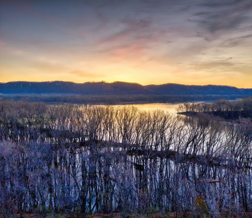 Free Breathtaking view of the Mississippi River at sunrise with bare trees reflecting in the water. Stock Photo