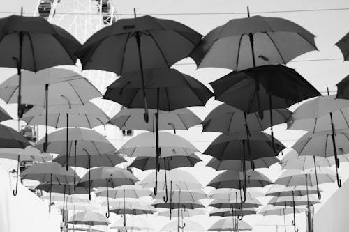 Free stock photo of umbrellas